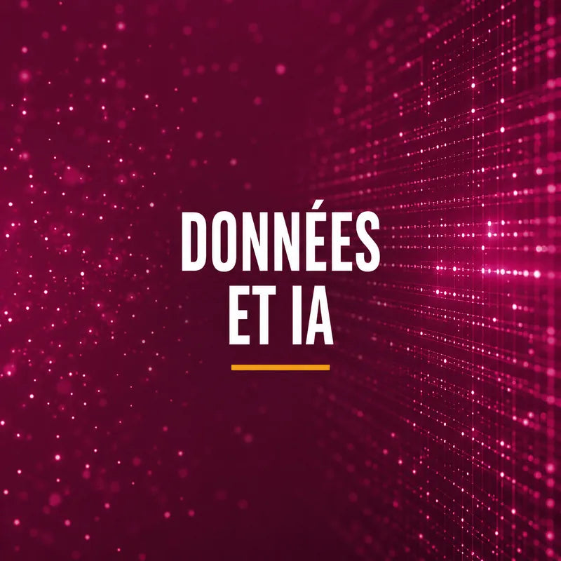 Préparer ses données à l'IA pour PME — CHUCK&CO