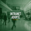 Intranet SharePoint adopté par les employés — CHUCK&CO